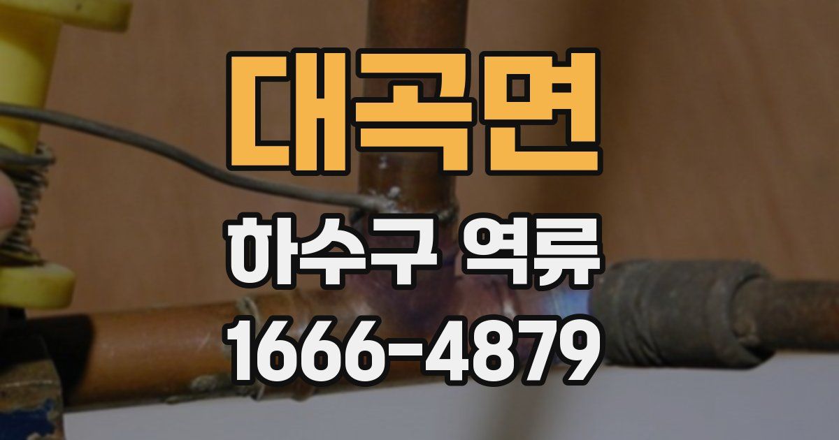 대곡면 하수구 역류