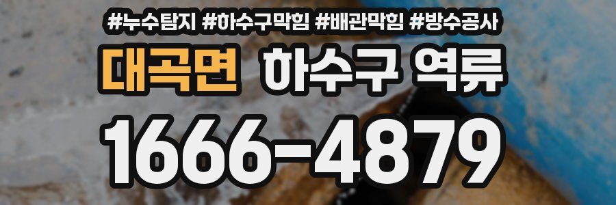 대곡면 하수구 역류