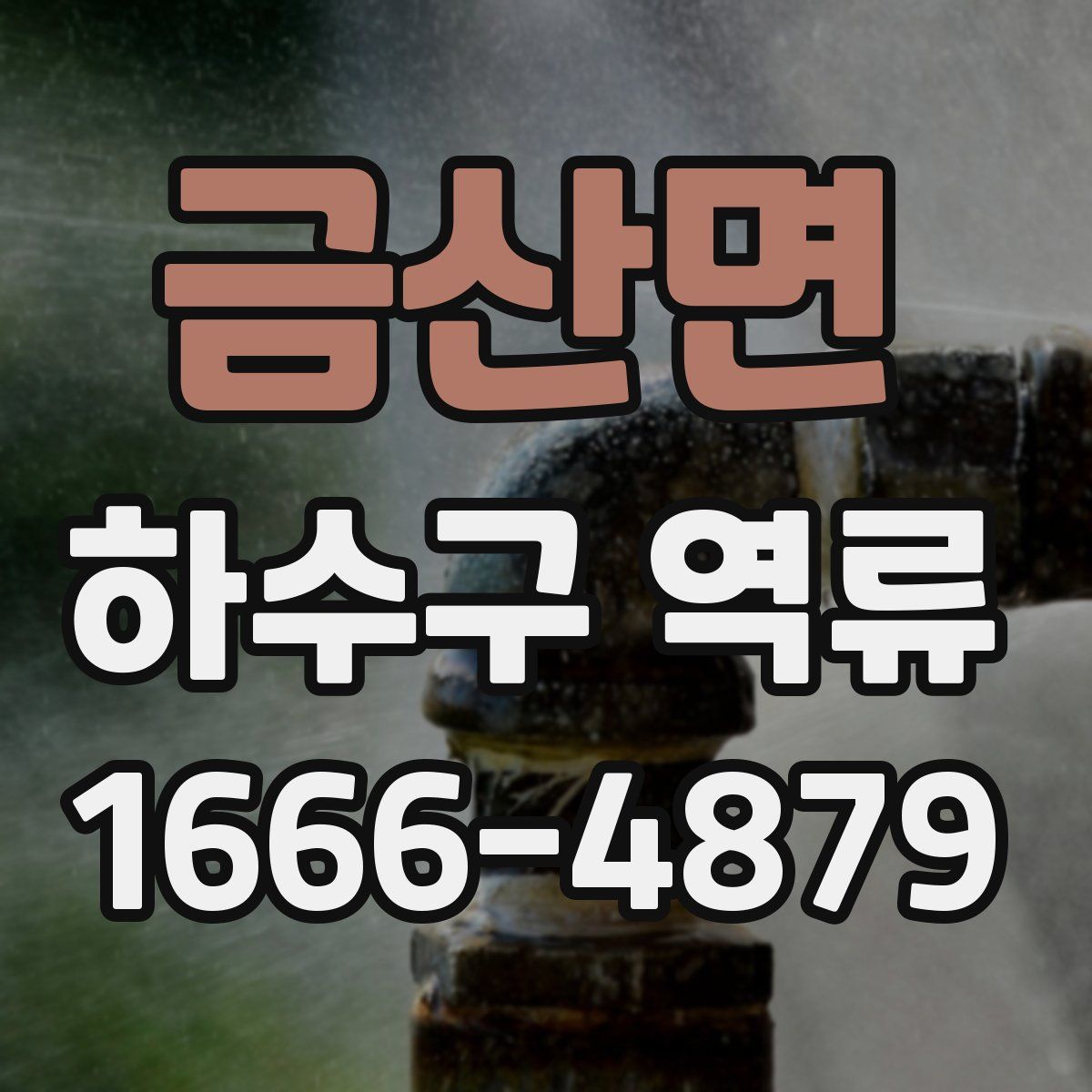 금산면 하수구 역류