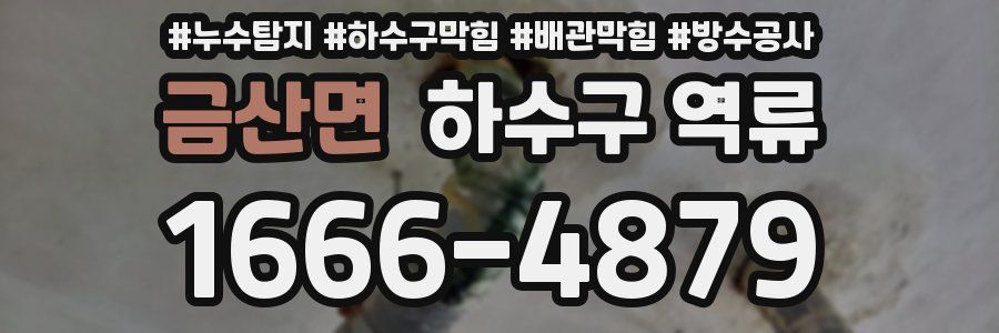 금산면 하수구 역류