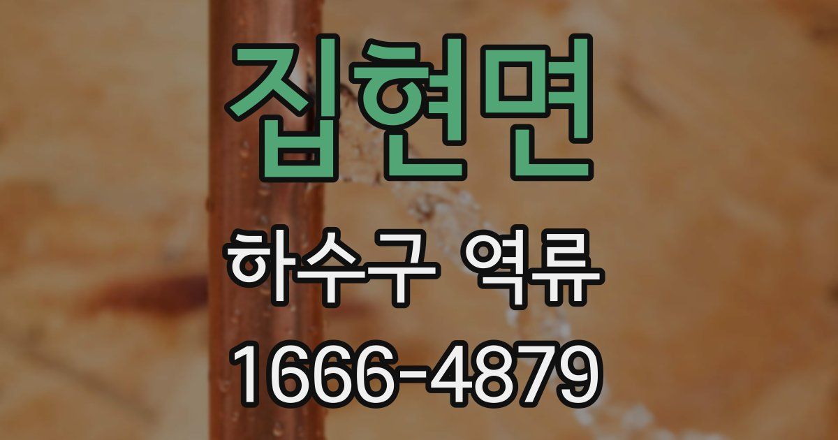 집현면 하수구 역류