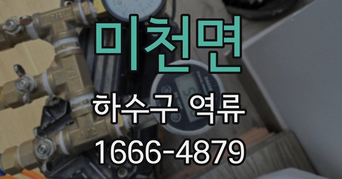 미천면 하수구 역류