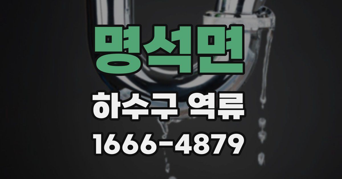 명석면 하수구 역류