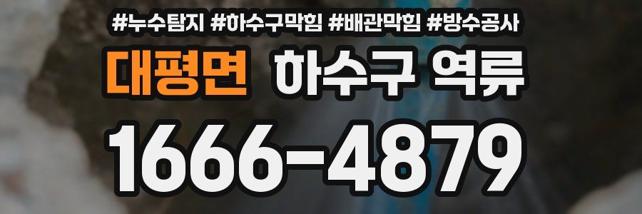 대평면 하수구 역류