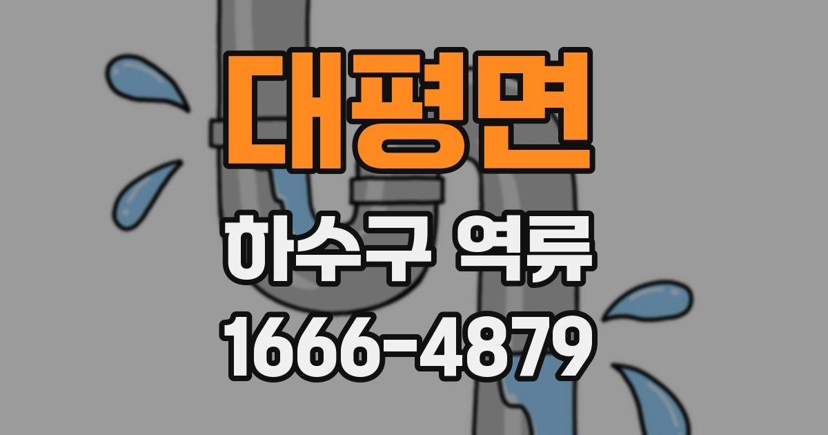 대평면 하수구 역류