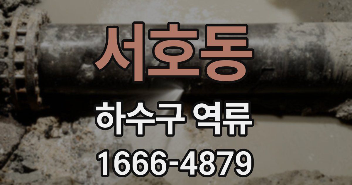 서호동 하수구 역류