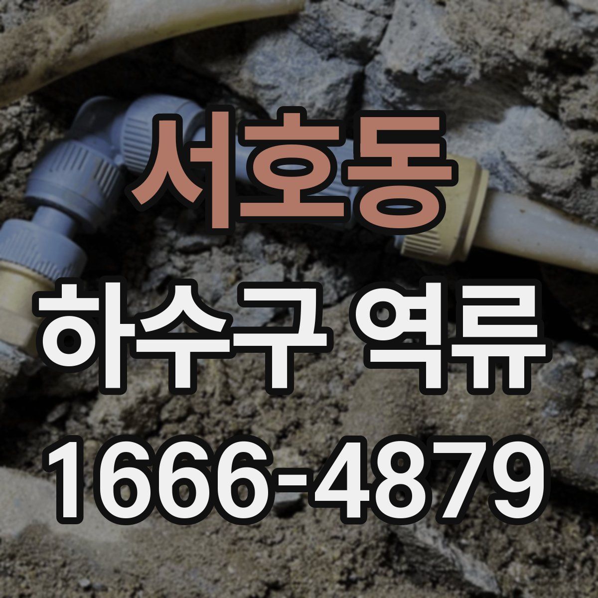 서호동 하수구 역류