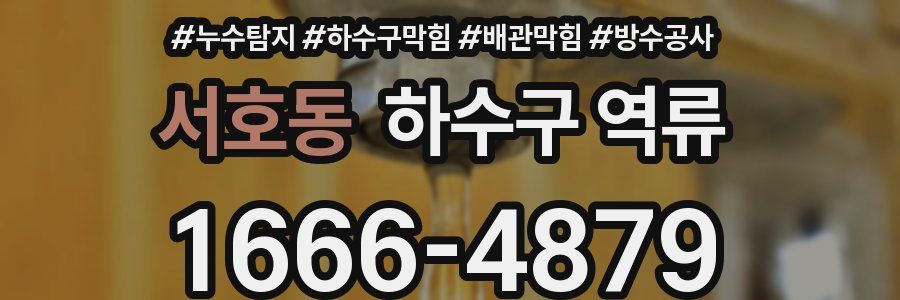 서호동 하수구 역류