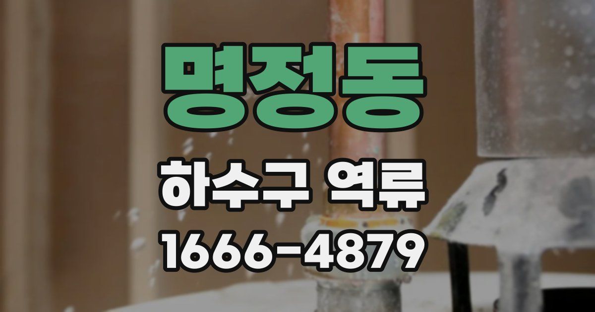 명정동 하수구 역류