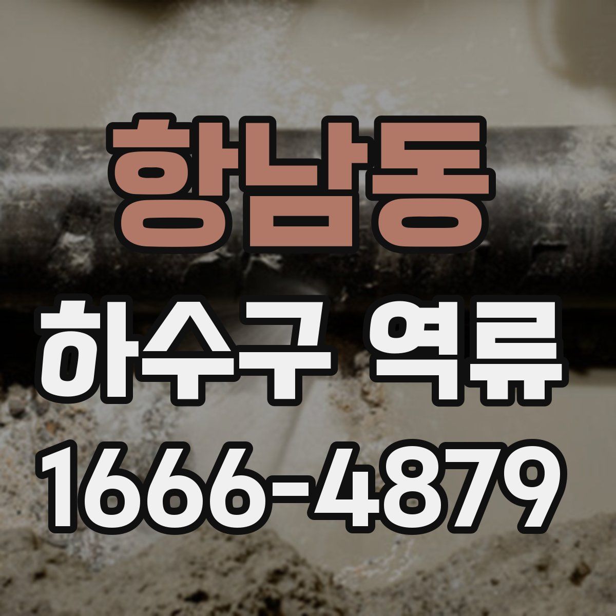 항남동 하수구 역류