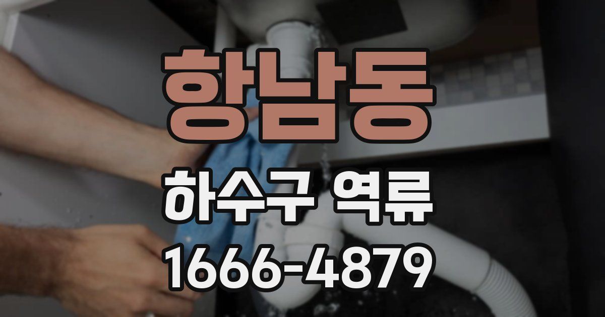 항남동 하수구 역류