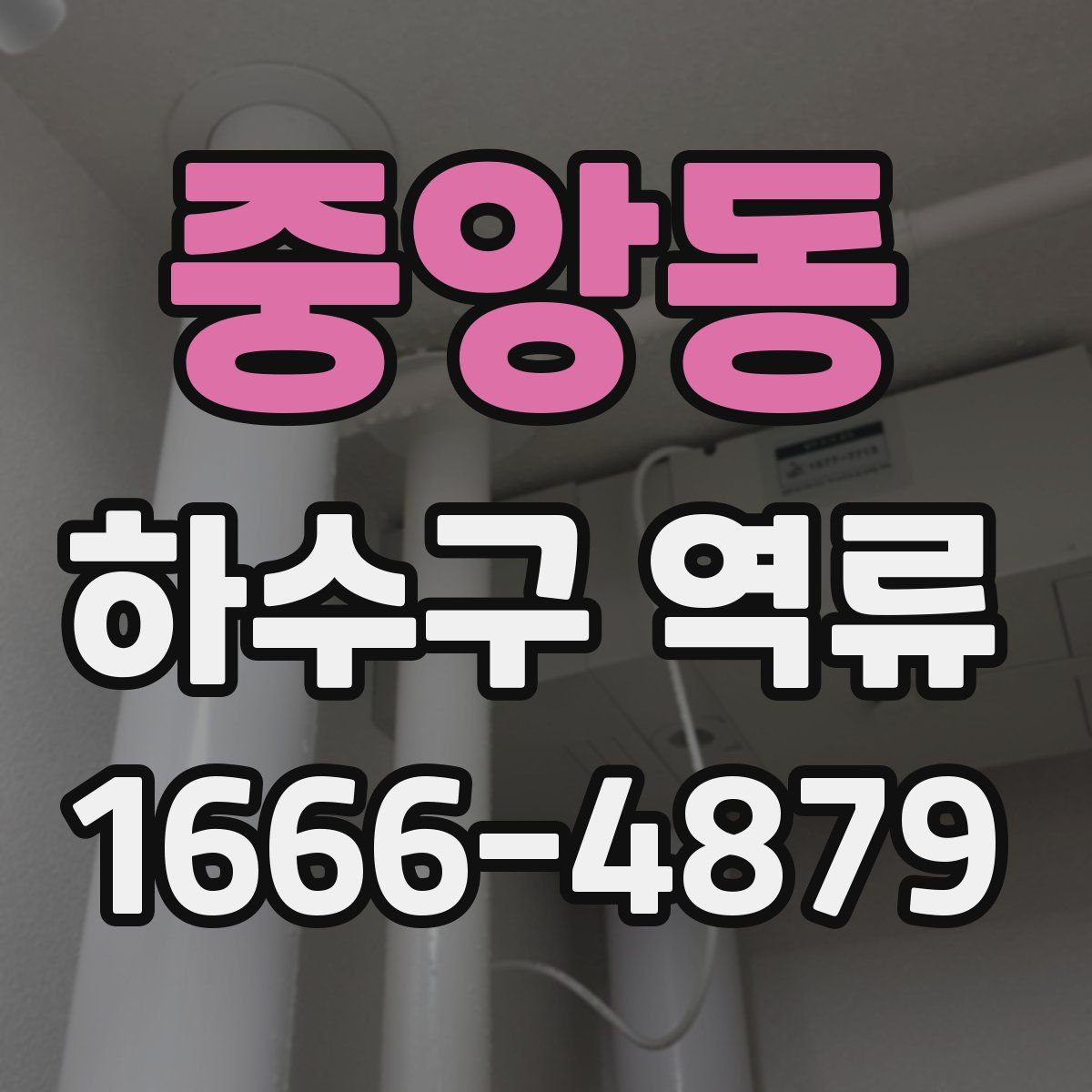중앙동 하수구 역류
