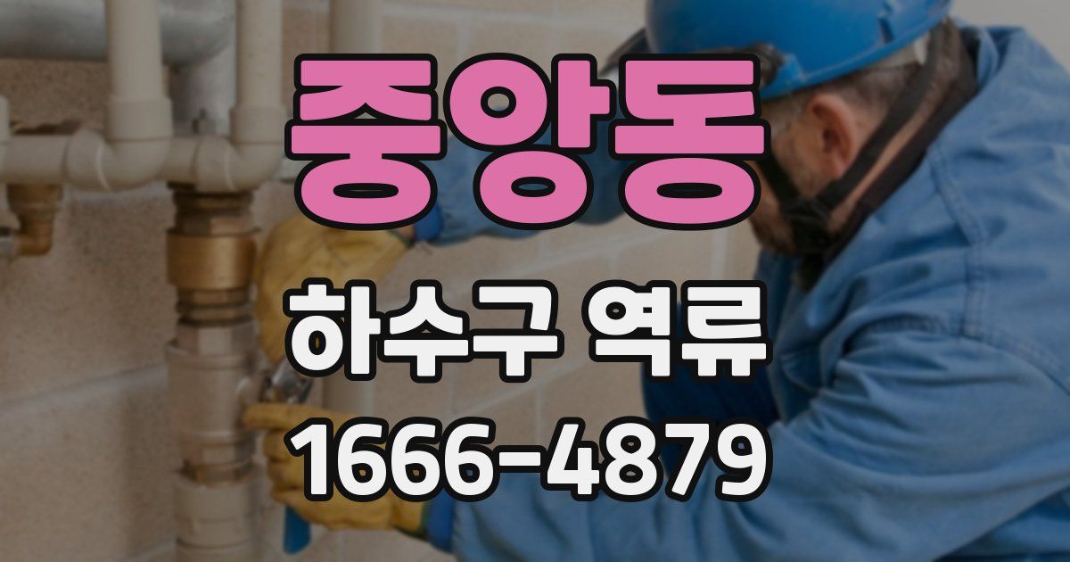 중앙동 하수구 역류
