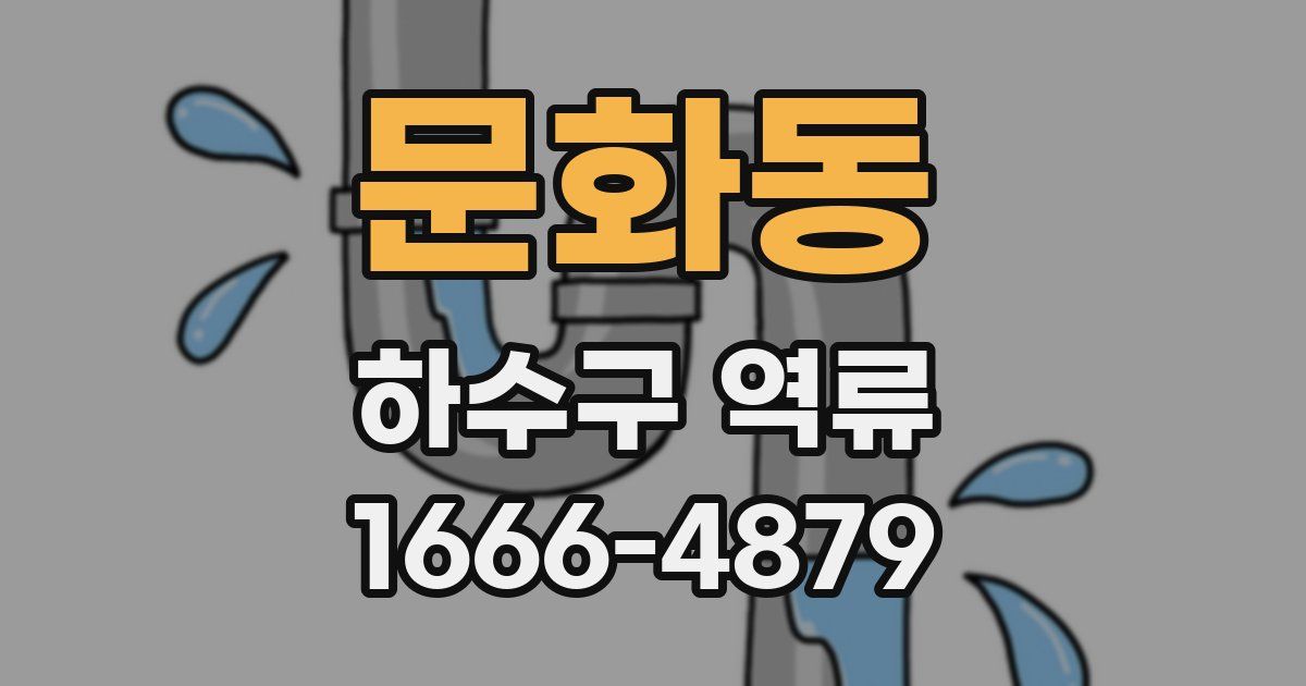 문화동 하수구 역류