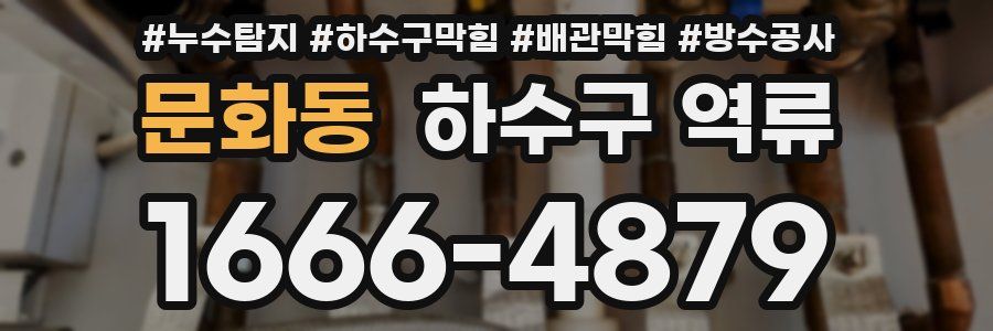 문화동 하수구 역류
