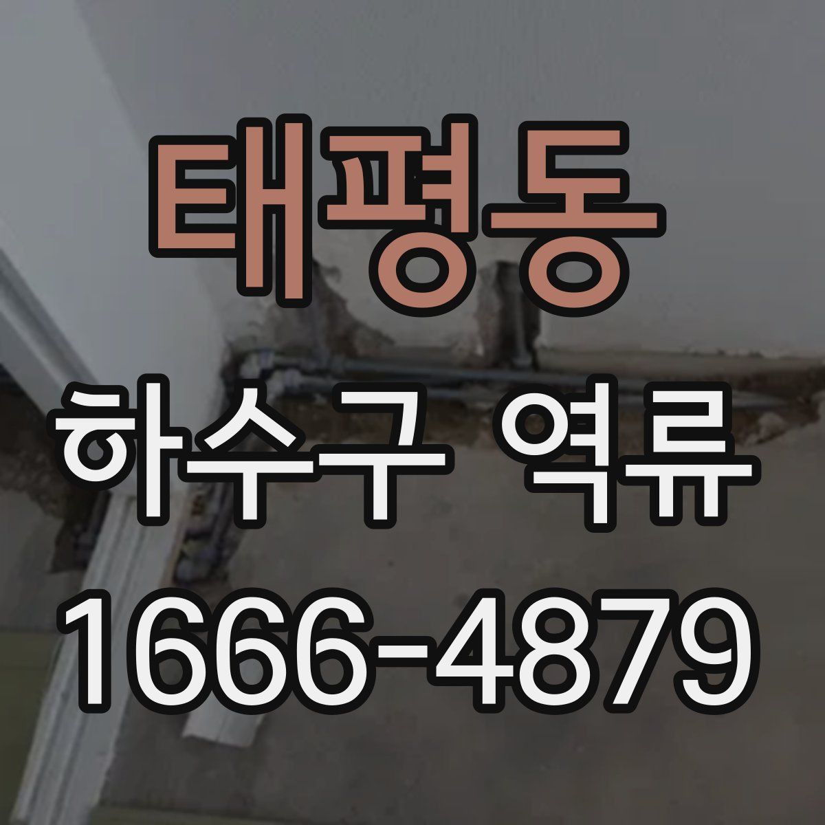 태평동 하수구 역류