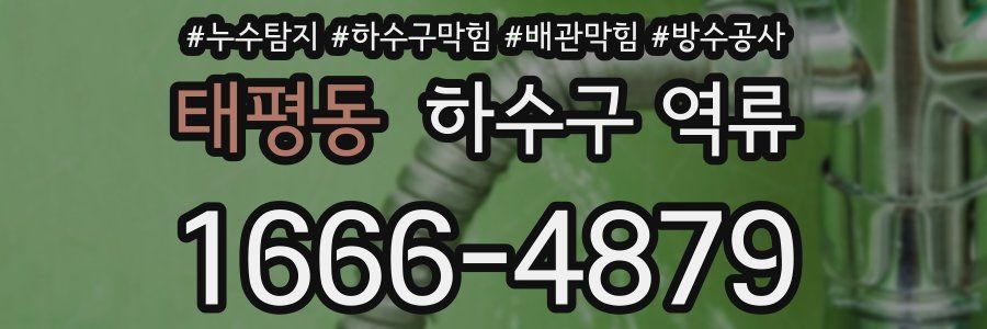 태평동 하수구 역류