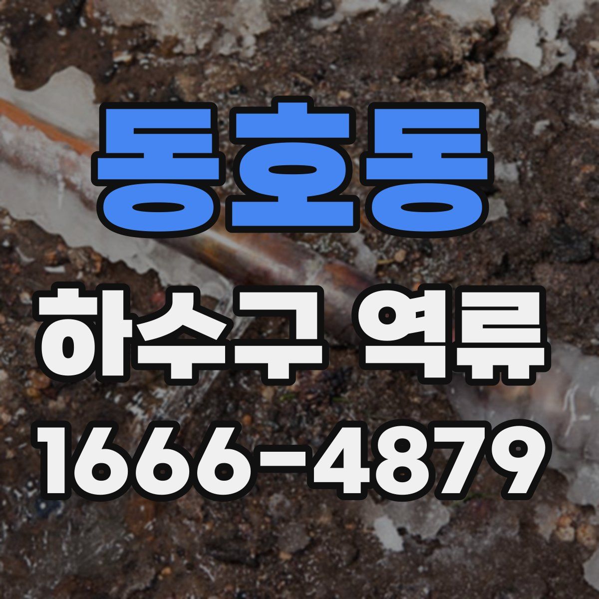 동호동 하수구 역류