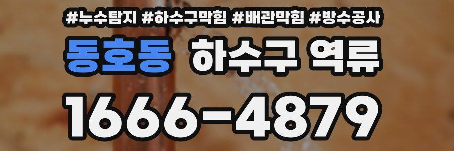 동호동 하수구 역류