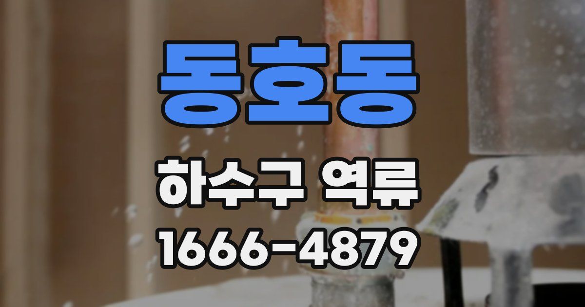 동호동 하수구 역류