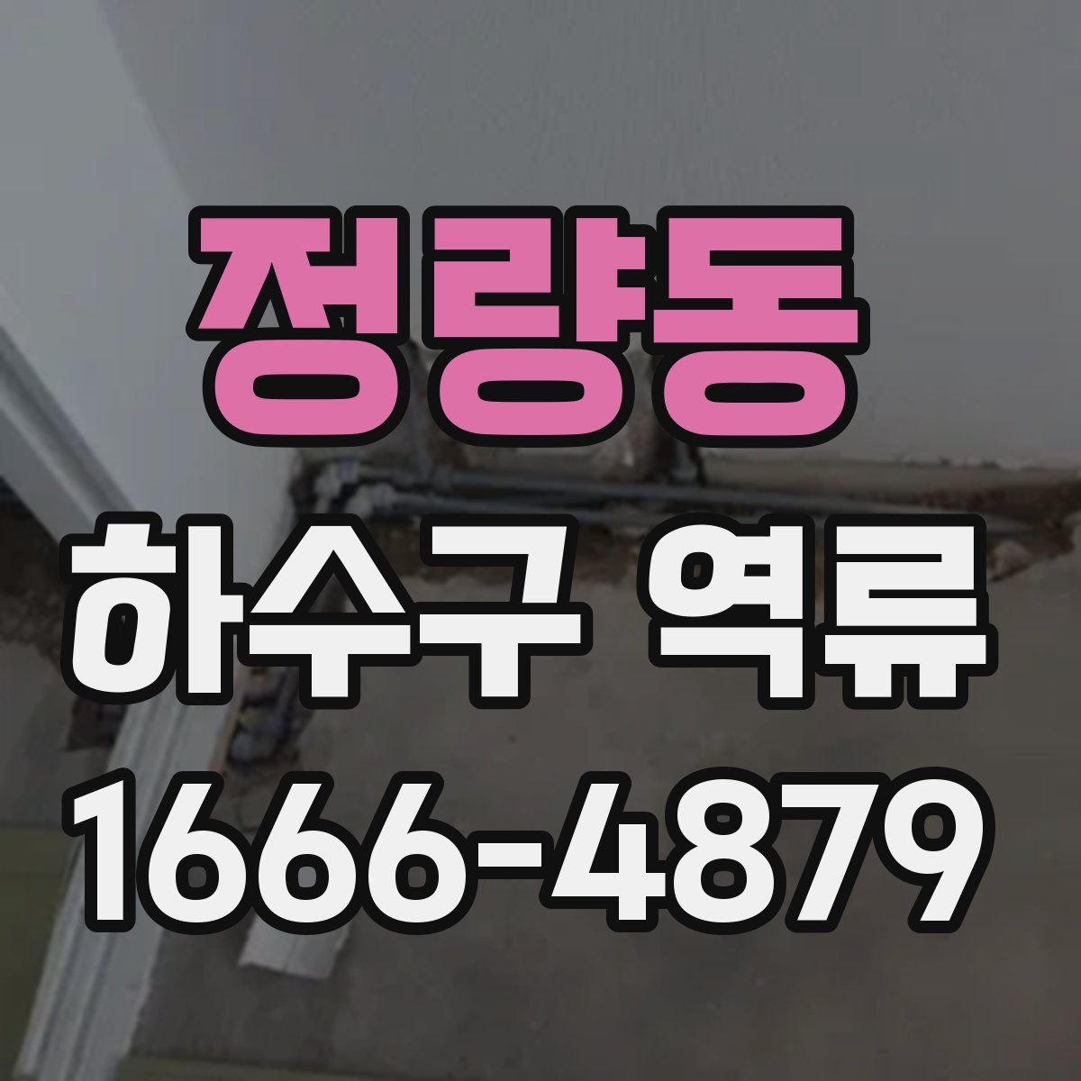 정량동 하수구 역류