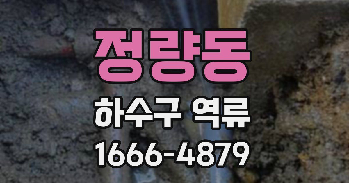 정량동 하수구 역류