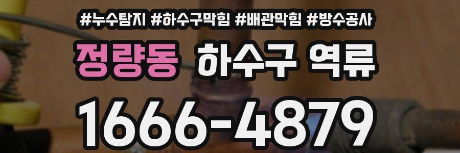 정량동 하수구 역류