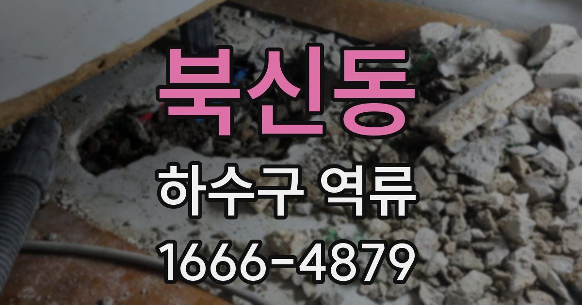 북신동 하수구 역류
