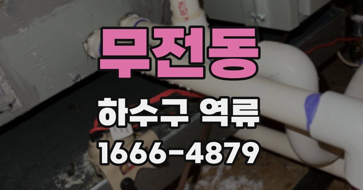 무전동 하수구 역류