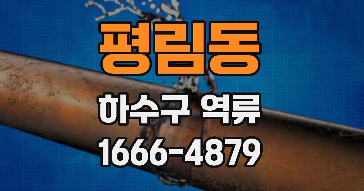평림동 하수구 역류