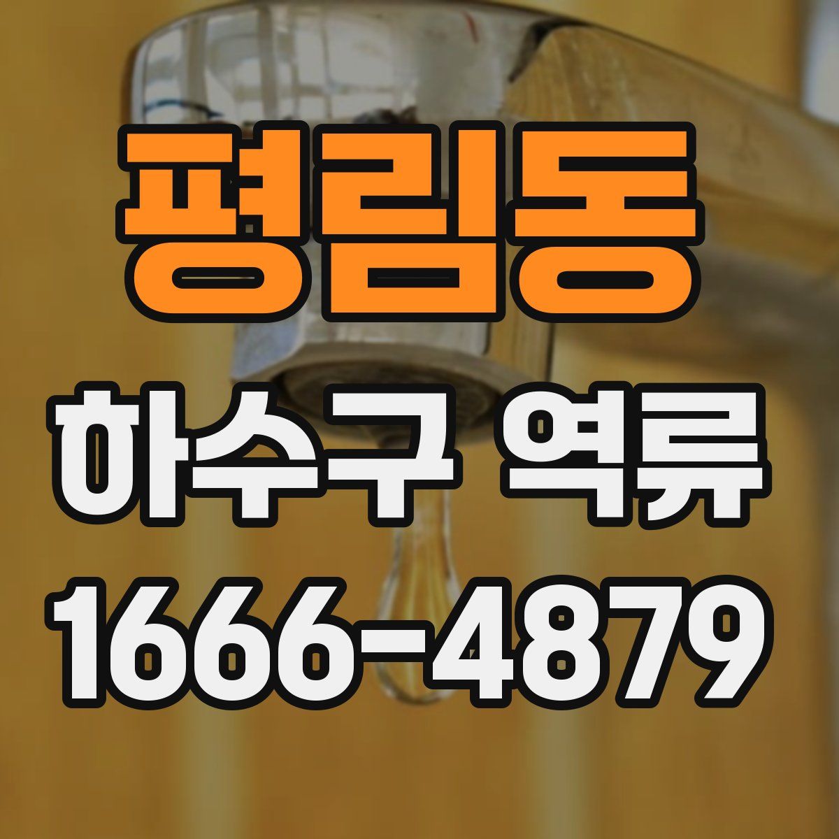 평림동 하수구 역류