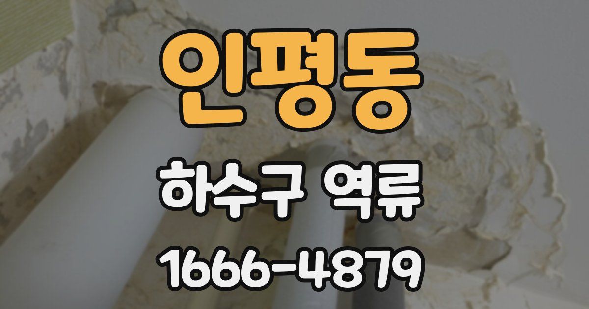 인평동 하수구 역류