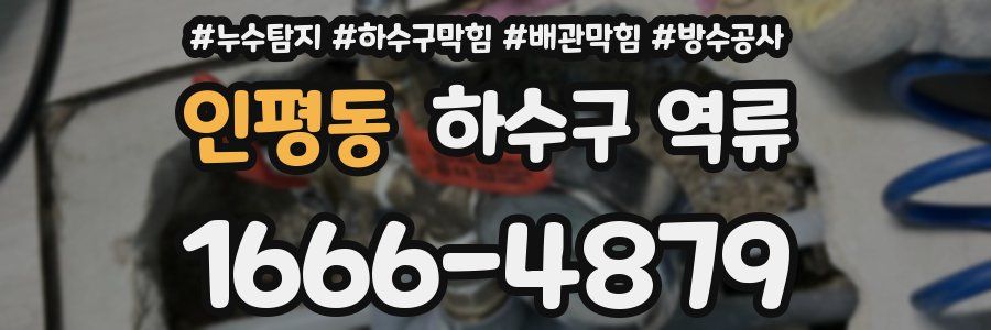 인평동 하수구 역류