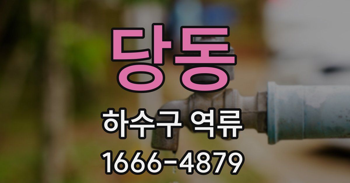 당동 하수구 역류