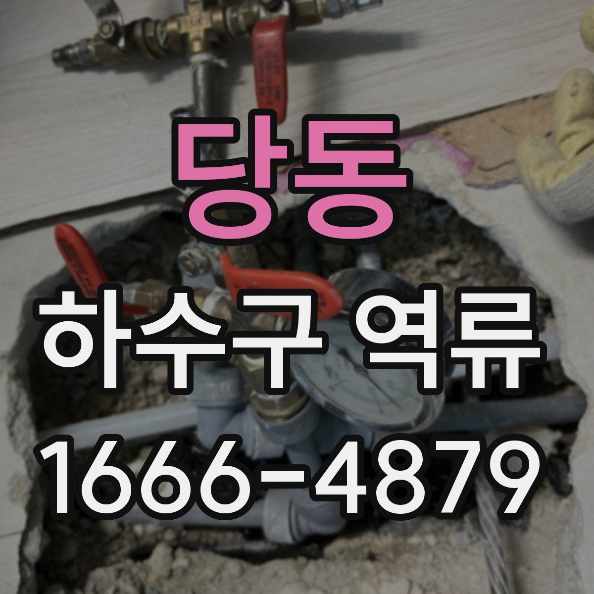 당동 하수구 역류