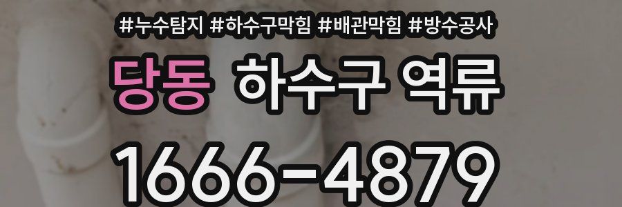 당동 하수구 역류