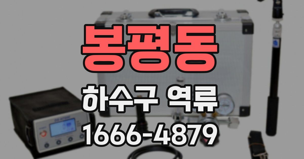 봉평동 하수구 역류
