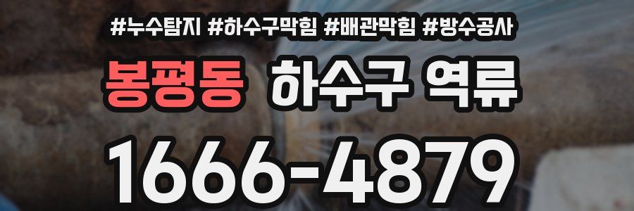 봉평동 하수구 역류
