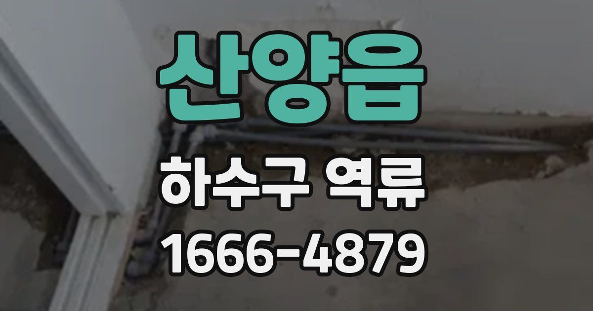 산양읍 하수구 역류