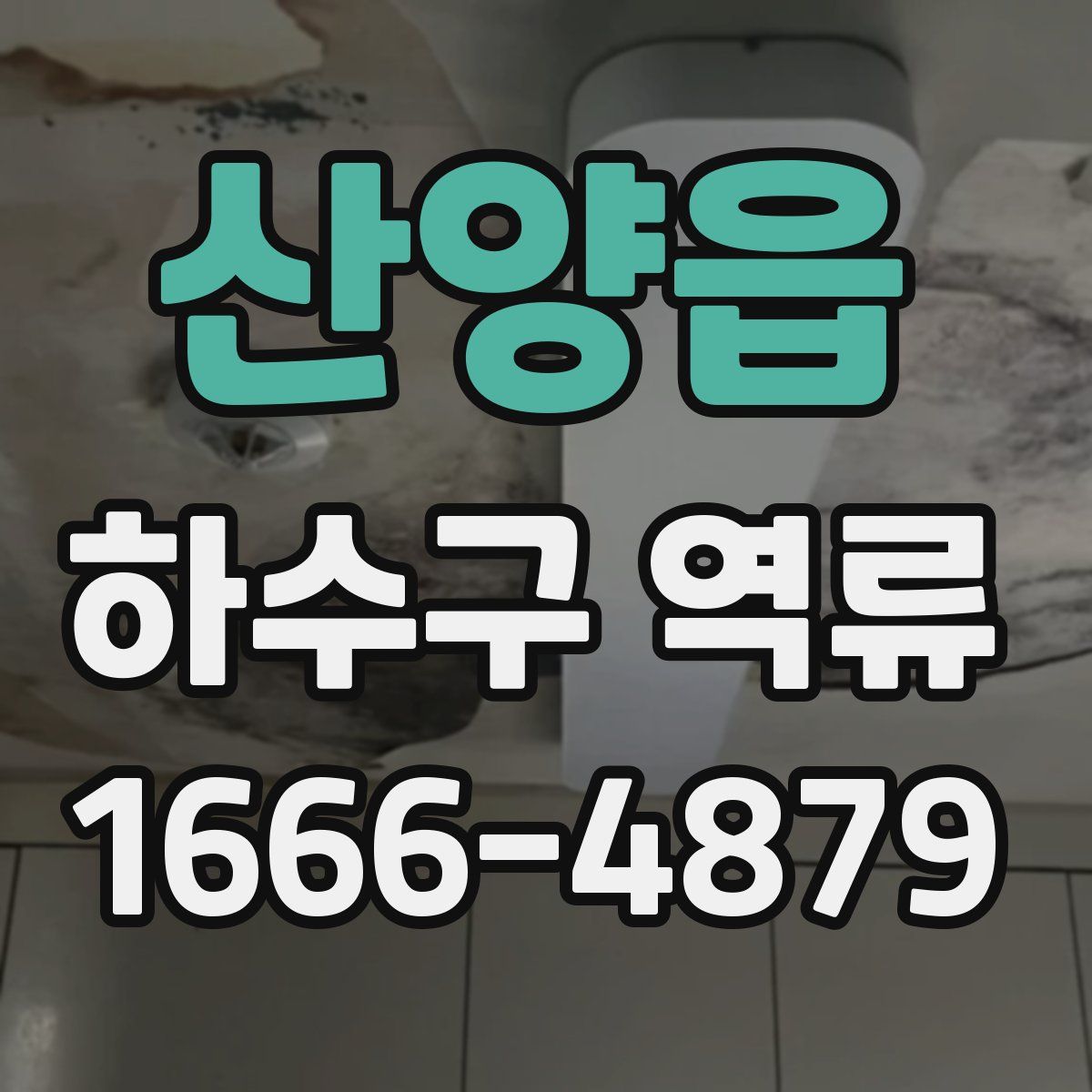 산양읍 하수구 역류