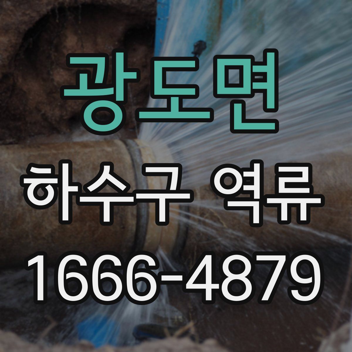 광도면 하수구 역류