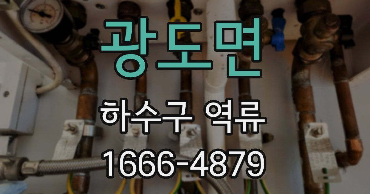 광도면 하수구 역류