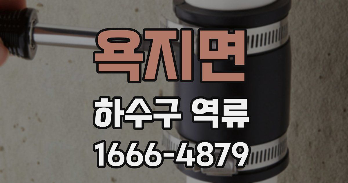 욕지면 하수구 역류