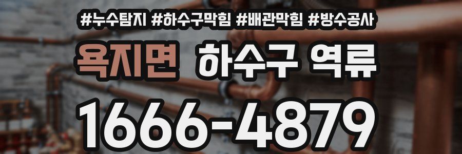 욕지면 하수구 역류