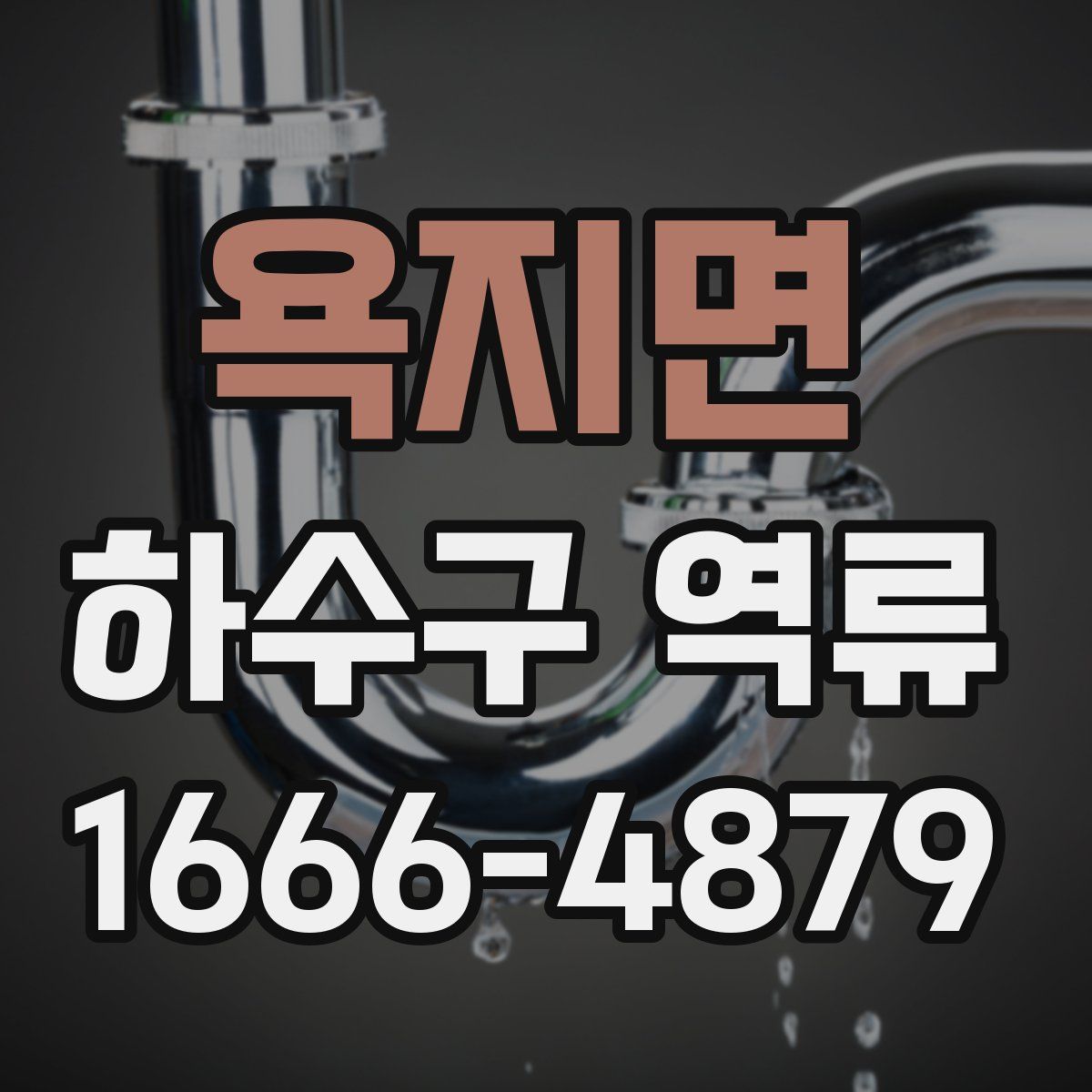 욕지면 하수구 역류