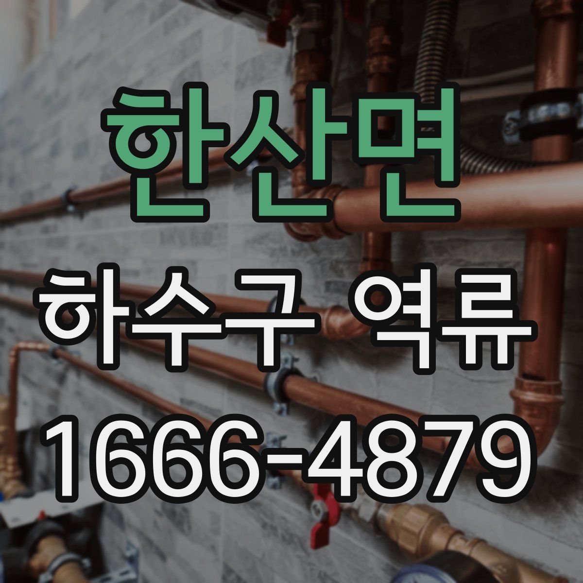 한산면 하수구 역류