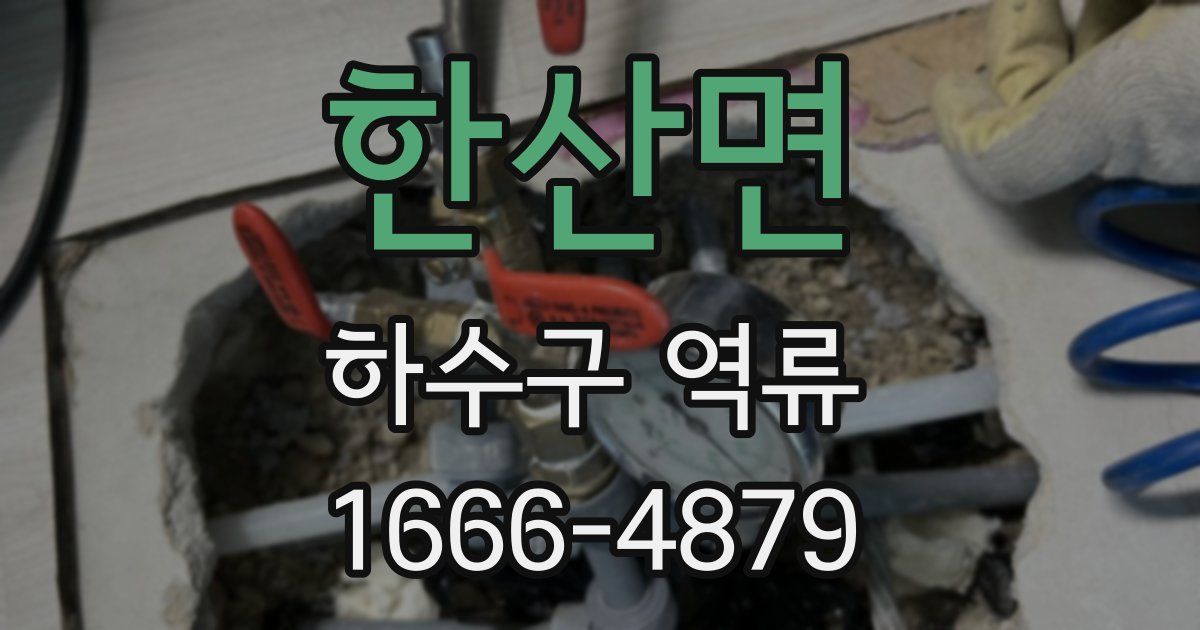 한산면 하수구 역류