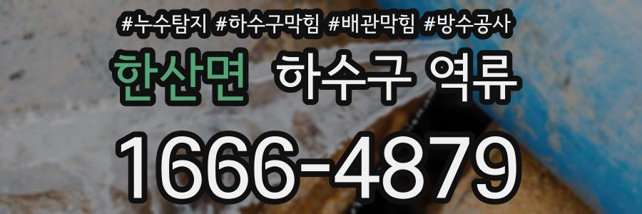한산면 하수구 역류