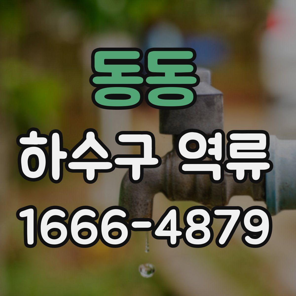 동동 하수구 역류