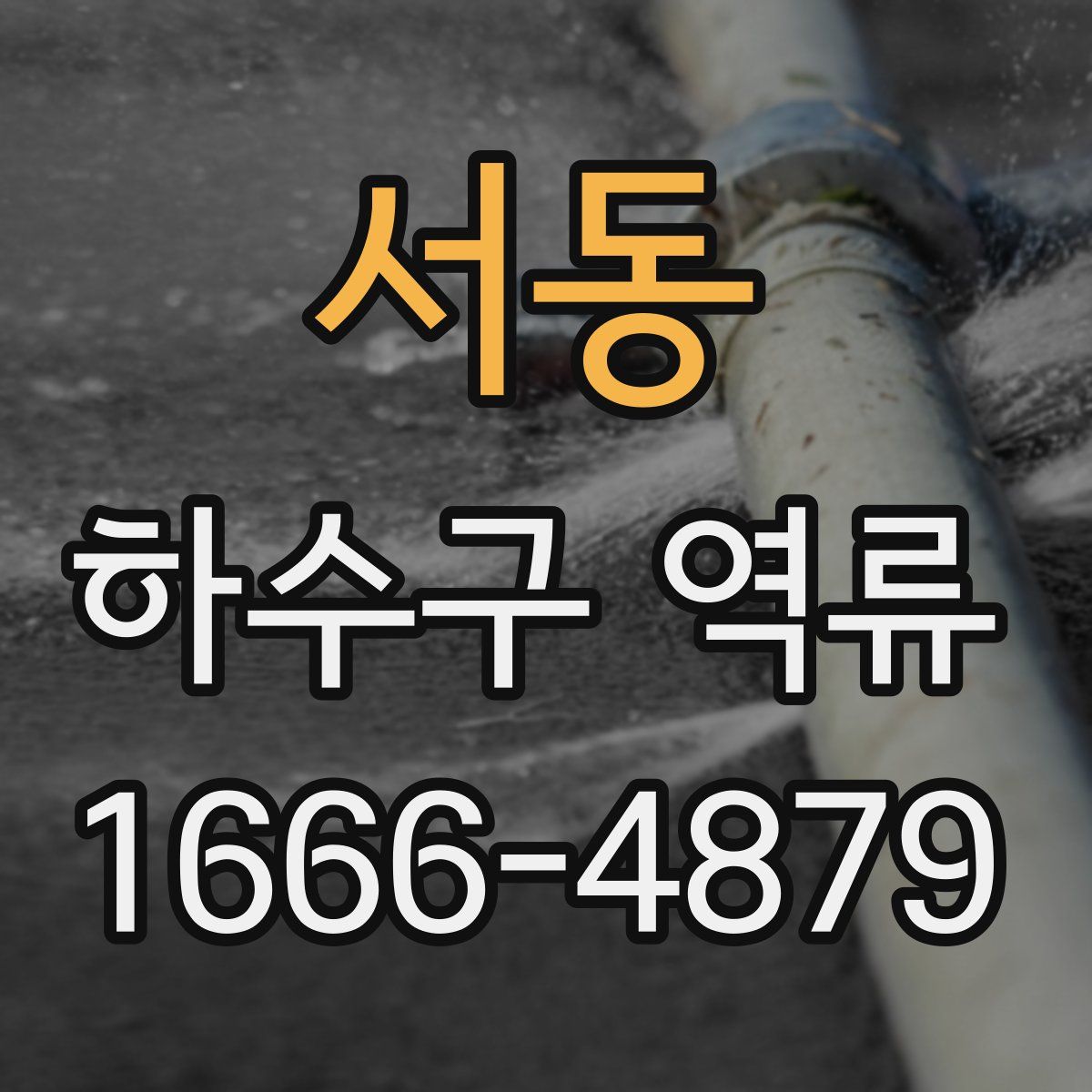 서동 하수구 역류